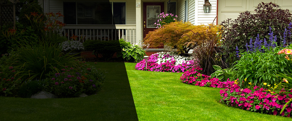 Allentown Landscapers